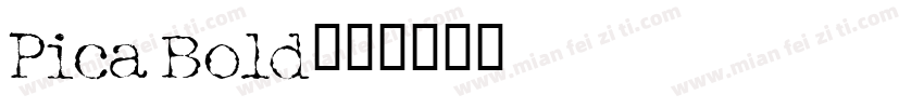 Pica Bold字体转换